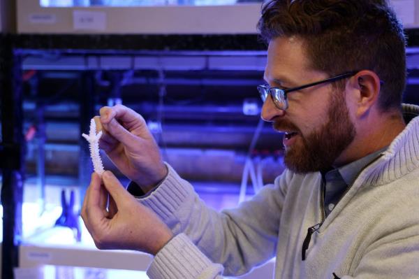 Shedd research biologist Ross Cunning holds a piece of dead coral in Chicago. 