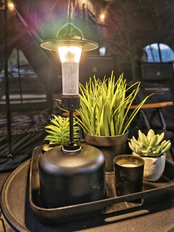 A few small pots of artificial plants will add homeliness and class to your campsite.