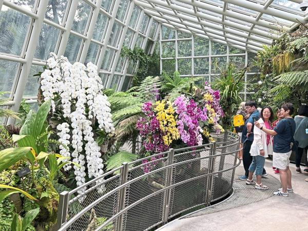 Visitors admiring orchids in Singapore’s Natio<em></em>nal Orchid Garden, home to the largest collection of orchids in the world.