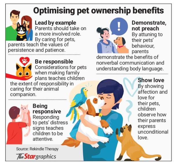  "Discover Essential Resources for Pet Owners on CABQ Gov Pets: Your Guide to Responsible Pet Care"