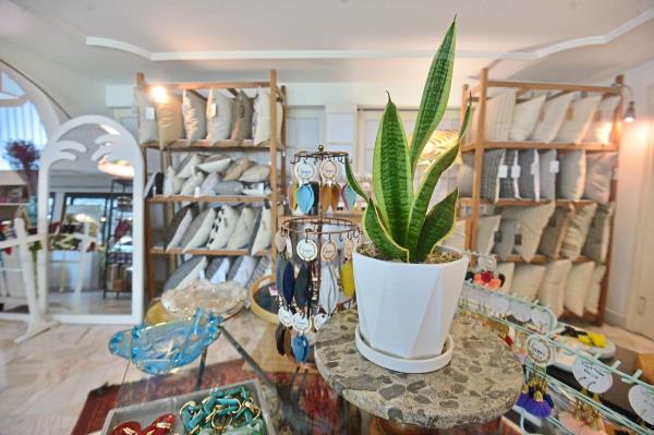 Personal touches like house plants give this retail space a homely feel.