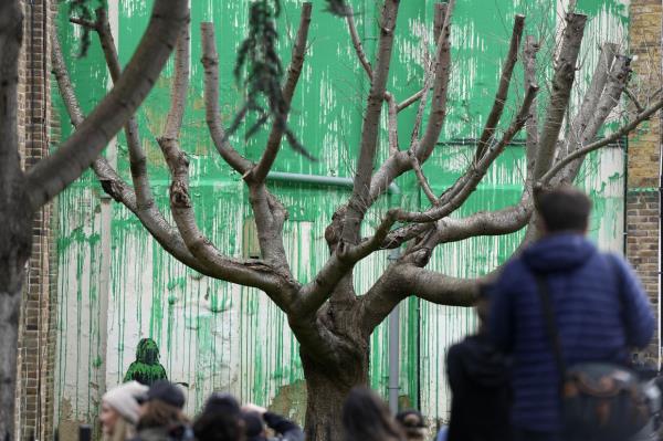 The Banksy artwork in the Finsbury Park neighborhood covers the wall of a four-storey building and shows a small figure holding a pressure hose beside a real tree. Green paint has been sprayed across the wall, replicating the absent leaves of the tree, which has been severely cropped. Photo: AP