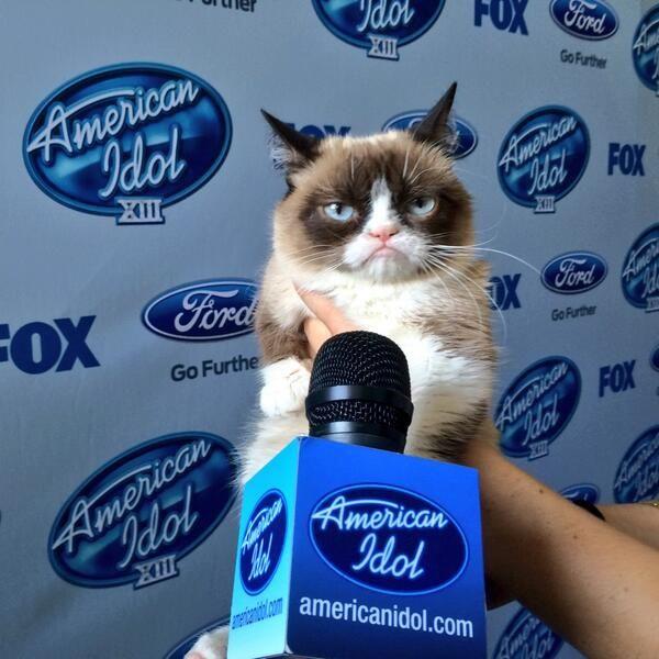 This 2014 photo to mark Tardar Sauce's appearance on American Idol was captioned: 'I was on American Idol once. It was awful...' to showcase the cat's trademark grumpy personality. — X.com/@RealGrumpyCat