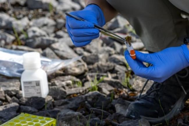 A person with gloves on puts a small sample of matter into a pot