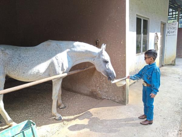 Nek Abdul Rahman says the family enjoys their ranch-like lifestyle at Bukit Tinggi.