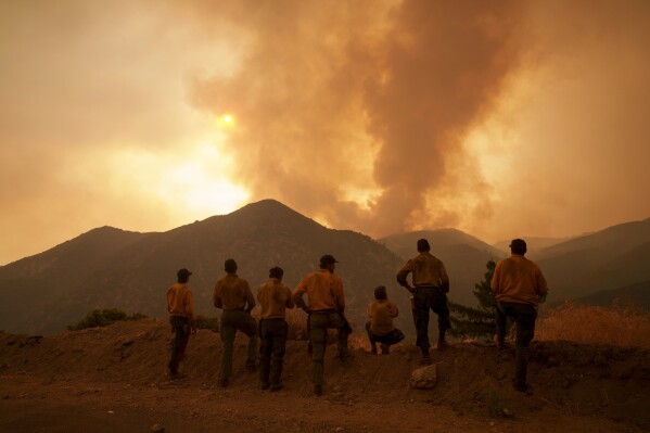 Firefighters mo<em></em>nitor the advancing Line Fire in Angelus Oaks, Calif., Monday, Sept. 9, 2024. (AP Photo/Eric Thayer)